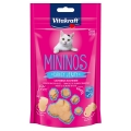 mininos-salmone