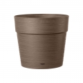 vaso-save-camel